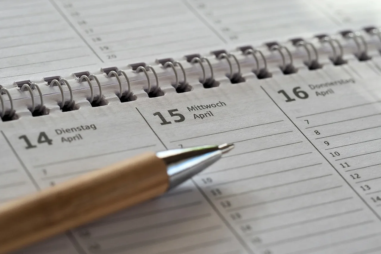 AMCAS application timeline
