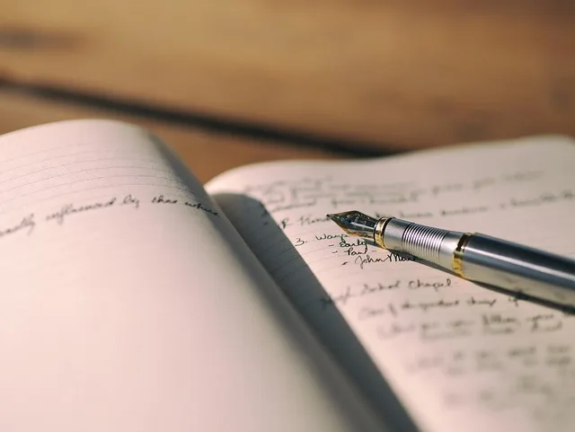 medical school secondary essays